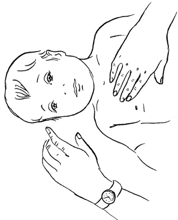 Иллюстрация к книге — Как быть счастливой мамой довольного малыша от 0 до 1 года [i_313.jpg]