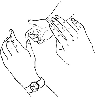 Иллюстрация к книге — Как быть счастливой мамой довольного малыша от 0 до 1 года [i_314.jpg]