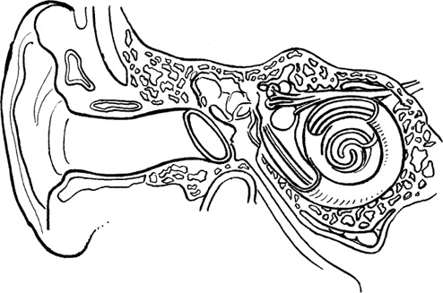 Иллюстрация к книге — Как быть счастливой мамой довольного малыша от 0 до 1 года [i_326.jpg]