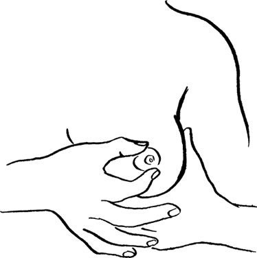 Иллюстрация к книге — Как быть счастливой мамой довольного малыша от 0 до 1 года [i_332.jpg]