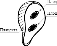 Иллюстрация к книге — Как легко родить, или Путеводитель по родам [_7.jpg]