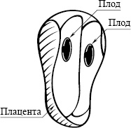 Иллюстрация к книге — Как легко родить, или Путеводитель по родам [_9.jpg]