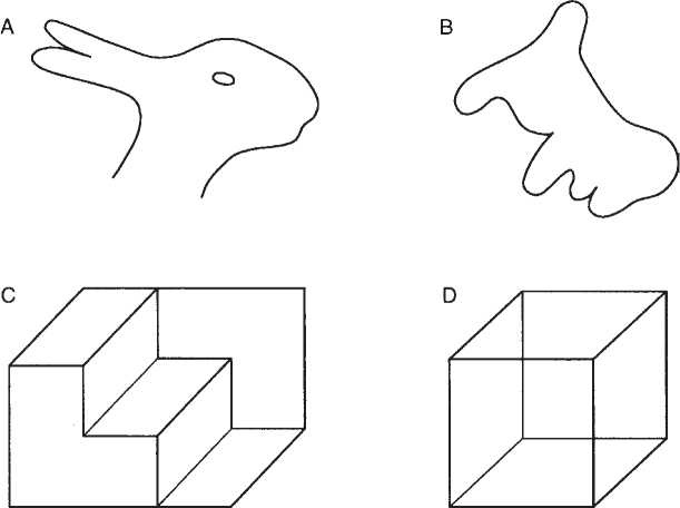 Иллюстрация к книге — Мысленные образы. Когнитивный подход [i_002.jpg]