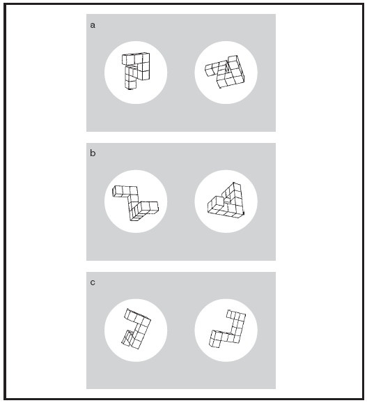 Иллюстрация к книге — Мысленные образы. Когнитивный подход [i_003.jpg]