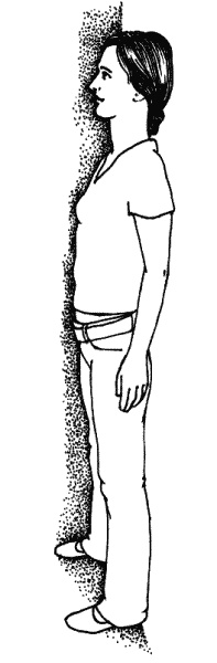 Иллюстрация к книге — Тайны "кремлевской" фигуромоделирующей гимнастики [i_001.jpg]