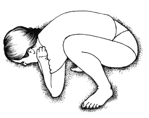 Иллюстрация к книге — Тайны "кремлевской" фигуромоделирующей гимнастики [i_002.jpg]