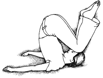 Иллюстрация к книге — Тайны "кремлевской" фигуромоделирующей гимнастики [i_003.jpg]