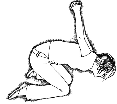 Иллюстрация к книге — Тайны "кремлевской" фигуромоделирующей гимнастики [i_017.jpg]