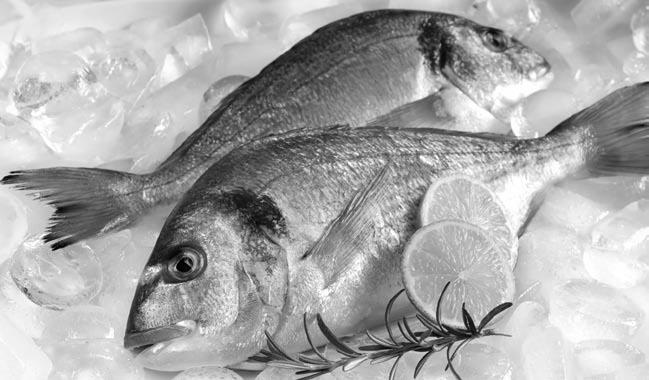 Иллюстрация к книге — Чистим сосуды, укрепляем иммунитет. Лечебное питание для омоложения организма [i_003.jpg]