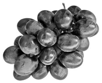 Иллюстрация к книге — Чистим сосуды, укрепляем иммунитет. Лечебное питание для омоложения организма [i_020.jpg]