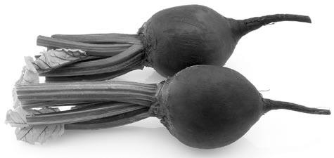 Иллюстрация к книге — Чистим сосуды, укрепляем иммунитет. Лечебное питание для омоложения организма [i_021.jpg]