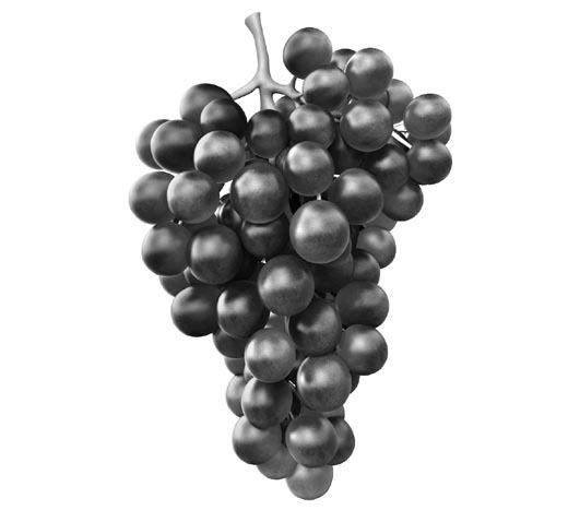 Иллюстрация к книге — Чистим сосуды, укрепляем иммунитет. Лечебное питание для омоложения организма [i_025.jpg]