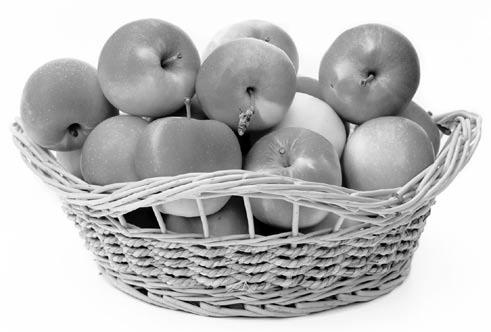 Иллюстрация к книге — Чистим сосуды, укрепляем иммунитет. Лечебное питание для омоложения организма [i_026.jpg]