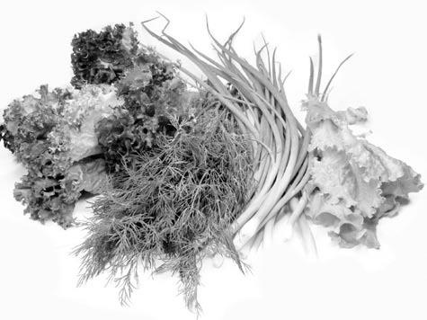 Иллюстрация к книге — Чистим сосуды, укрепляем иммунитет. Лечебное питание для омоложения организма [i_029.jpg]