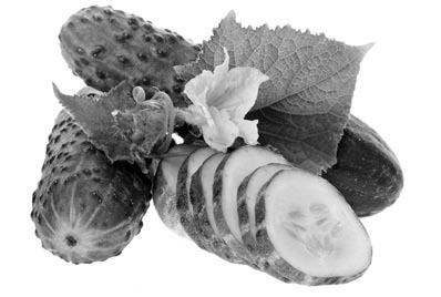 Иллюстрация к книге — Чистим сосуды, укрепляем иммунитет. Лечебное питание для омоложения организма [i_031.jpg]