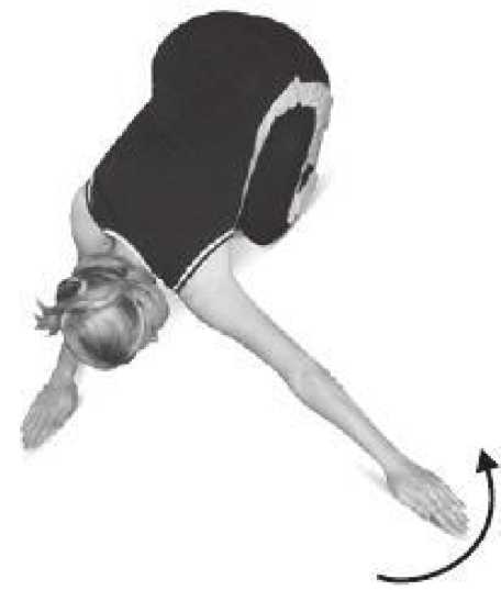 Иллюстрация к книге — Лечебное питание при болезнях позвоночника и суставов [i_017.jpg]