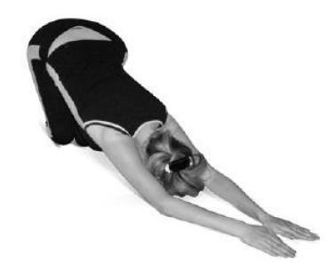 Иллюстрация к книге — Лечебное питание при болезнях позвоночника и суставов [i_042.jpg]