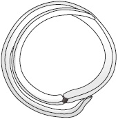 Иллюстрация к книге — Избавляемся от паразитов и болезней навсегда [_05.jpg]