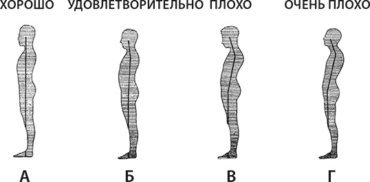 Иллюстрация к книге — Здоровые стопы [i_007.jpg]