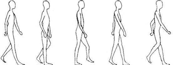 Иллюстрация к книге — Здоровые стопы [i_008.jpg]