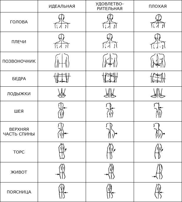 Иллюстрация к книге — Здоровые стопы [i_010.jpg]