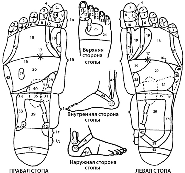 Иллюстрация к книге — Здоровые стопы [i_042.jpg]