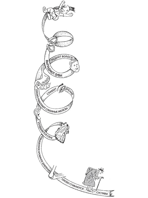 Иллюстрация к книге — Чудо-вода [i_025.jpg]