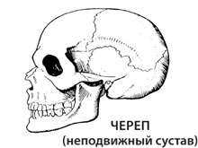 Иллюстрация к книге — Чудо-вода [i_029.jpg]