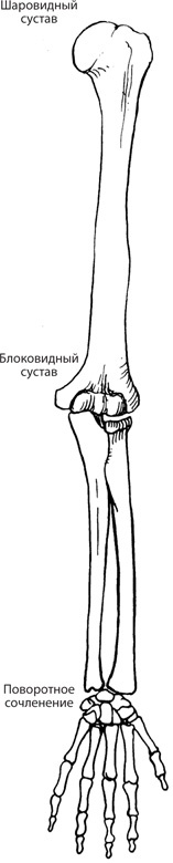 Иллюстрация к книге — Чудо-вода [i_040.jpg]