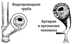 Иллюстрация к книге — Чудо-вода [i_060.jpg]