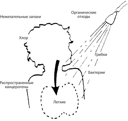 Иллюстрация к книге — Чудо-вода [i_089.jpg]