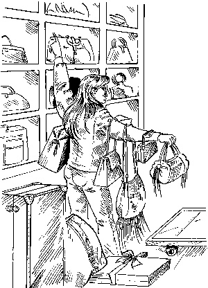 Иллюстрация к книге — Шопинг, который вас разоряет [i_003.jpg]