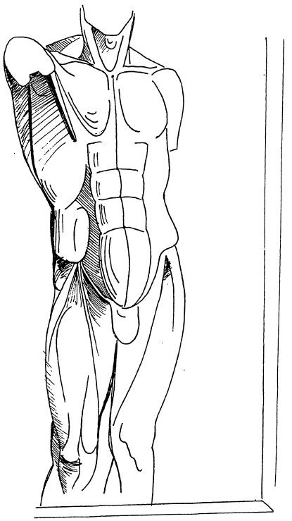 Иллюстрация к книге — Лечение сексом. Целебные силы интимных отношений [i_007.jpg]