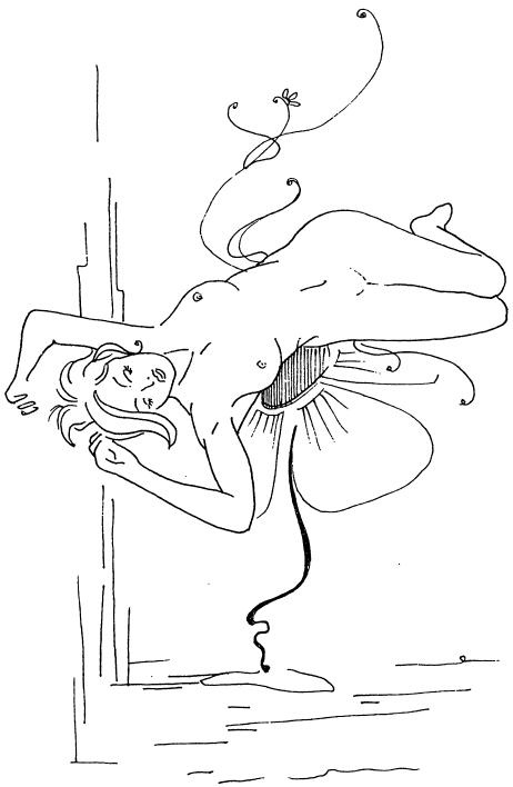 Иллюстрация к книге — Лечение сексом. Целебные силы интимных отношений [i_049.jpg]