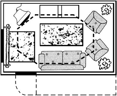 Иллюстрация к книге — Молодость и долголетие с фэн-шуй [i_011.jpg]
