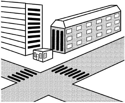 Иллюстрация к книге — Молодость и долголетие с фэн-шуй [i_012.jpg]