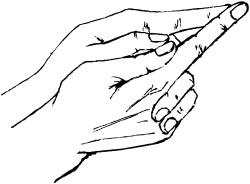 Иллюстрация к книге — Молодость и долголетие с фэн-шуй [i_025.jpg]