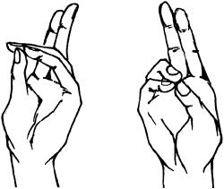 Иллюстрация к книге — Молодость и долголетие с фэн-шуй [i_029.jpg]