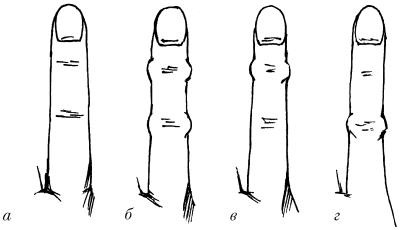 Иллюстрация к книге — Молодость и долголетие с фэн-шуй [i_030.jpg]