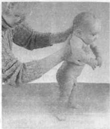 Иллюстрация к книге — Infantia. Учебник первого года. Игры и упражнения для самых маленьких [image012.jpg]