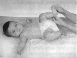 Иллюстрация к книге — Infantia. Учебник первого года. Игры и упражнения для самых маленьких [image013.jpg]