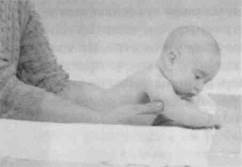 Иллюстрация к книге — Infantia. Учебник первого года. Игры и упражнения для самых маленьких [image023.jpg]