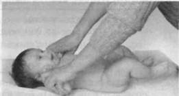 Иллюстрация к книге — Infantia. Учебник первого года. Игры и упражнения для самых маленьких [image025.jpg]