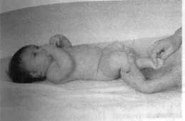 Иллюстрация к книге — Infantia. Учебник первого года. Игры и упражнения для самых маленьких [image026.jpg]