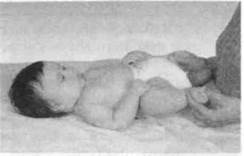 Иллюстрация к книге — Infantia. Учебник первого года. Игры и упражнения для самых маленьких [image027.jpg]