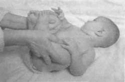 Иллюстрация к книге — Infantia. Учебник первого года. Игры и упражнения для самых маленьких [image045.jpg]