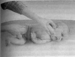 Иллюстрация к книге — Infantia. Учебник первого года. Игры и упражнения для самых маленьких [image056.jpg]