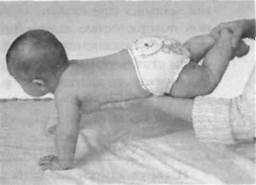 Иллюстрация к книге — Infantia. Учебник первого года. Игры и упражнения для самых маленьких [image075.jpg]