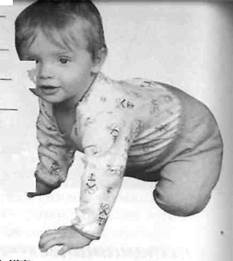 Иллюстрация к книге — Infantia. Учебник первого года. Игры и упражнения для самых маленьких [image080.jpg]