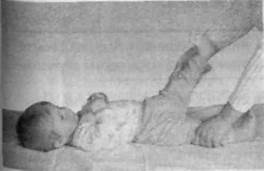 Иллюстрация к книге — Infantia. Учебник первого года. Игры и упражнения для самых маленьких [image090.jpg]